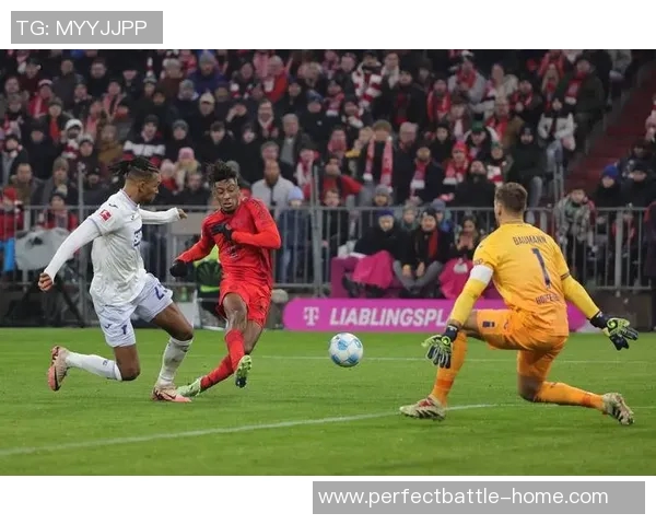 德甲精彩对决拜仁3-0本菲卡逆转瞬间点燃全场激情